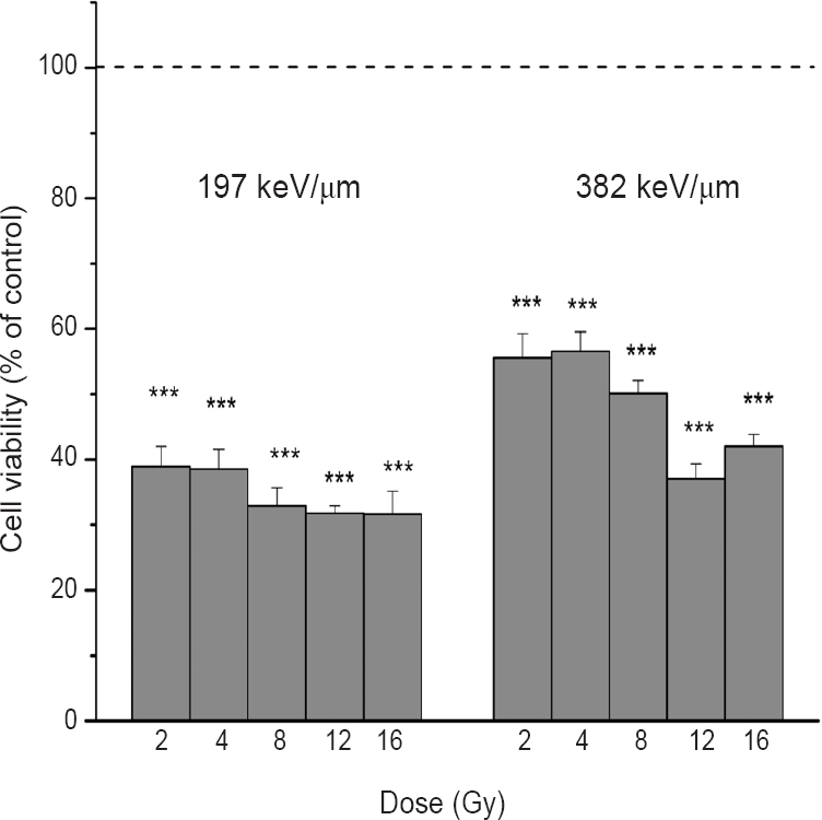 Viability of HTB140 cells obtained by Sulforhodamine B (SRB) assay, seven days after irradiation with 12C ions of 197 and 382 keV/μm. Applied irradiation doses were from 2 to 16 Gy. Mean values obtained from four experiments are presented as percentage of control ± SD. Control value was set as 100 per cent. ***P<0.001 compared to control.